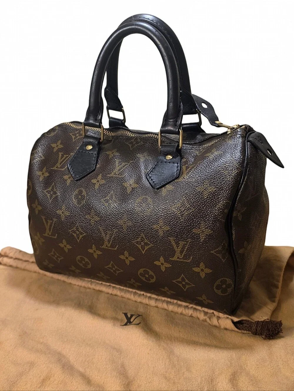 LOUIS VUITTON SPEEDY 25 BAG